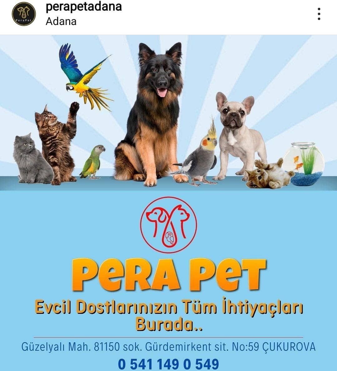 tv48comtr's tweet photo. Can dostlarınızın tüm ihtiyaçları pera pet mağazasında... Hatta biten mamaları için siz yorulmayın biz getirelim. Pera pet bir telefon kadar uzağınızda... Mama hattı :0541149 0 549
#evcilhayvanlar #evcilhayvan #kedi #köpek #perapet https://t.co/mUe3Tw8Oel