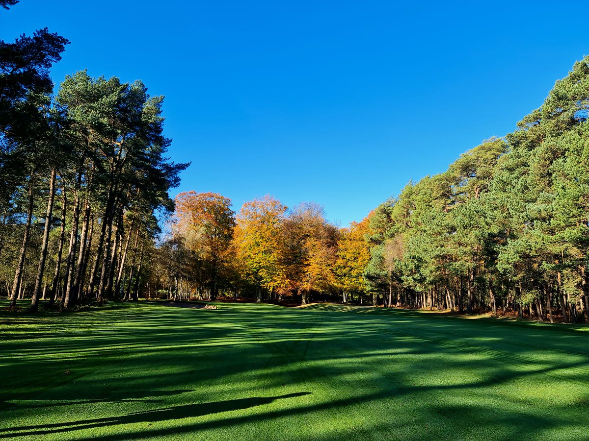 What a fantastic morning <a href="/WoburnGC/">Woburn Golf Club</a>. The Duchess 11th in the mid-morning sun