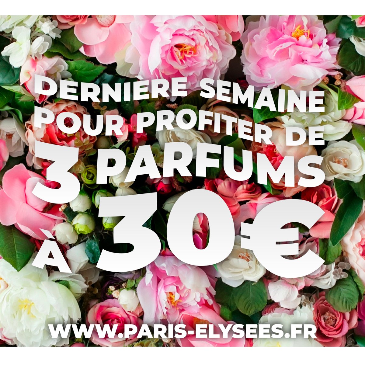 Paris Elysees (@paris__elysees) / Posts / X