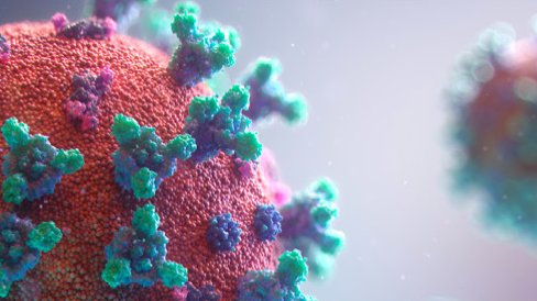 We are pleased to announce that GVN is organizing the #COVID19 conference, Promises and Challenges, with <a href="/MerieuxFdn/">Fondation Mérieux</a>, <a href="/GvtMonaco/">Gouvernement Monaco</a>, <a href="/FPA2/">FPA2</a>, and the Scientific Center of Monaco on December 2-3.

For more information and registration: gvn.org/gvn-and-monaco…