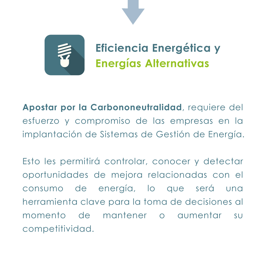 ceer_ec's tweet photo. Nuestro compromiso por promover la eficiencia productiva nos incentiva a ser el soporte que las empresas necesitan para desarrollar sus proyectos de Gestión de la Energía.
#CeerEc #medioambiente #sostenibilidad #eficienciaderecursos #carbononeutral #ecuadorcarbonocero https://t.co/fQxXXowPzW