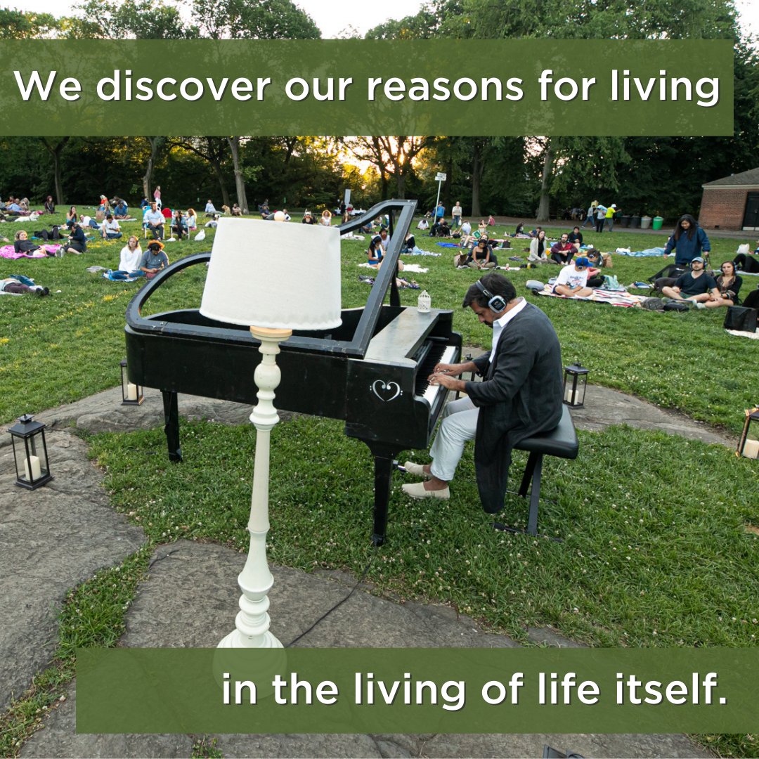 Murray Hidary tweet media