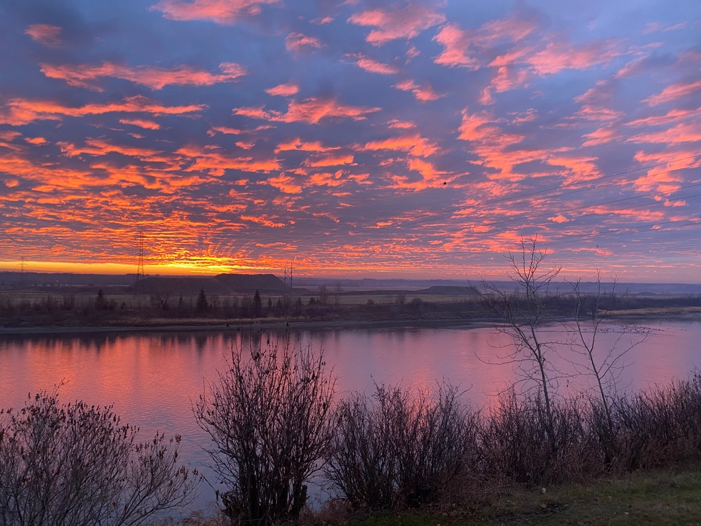 These November sunrises have been pretty spectacular. What a gorgeous place to farm!