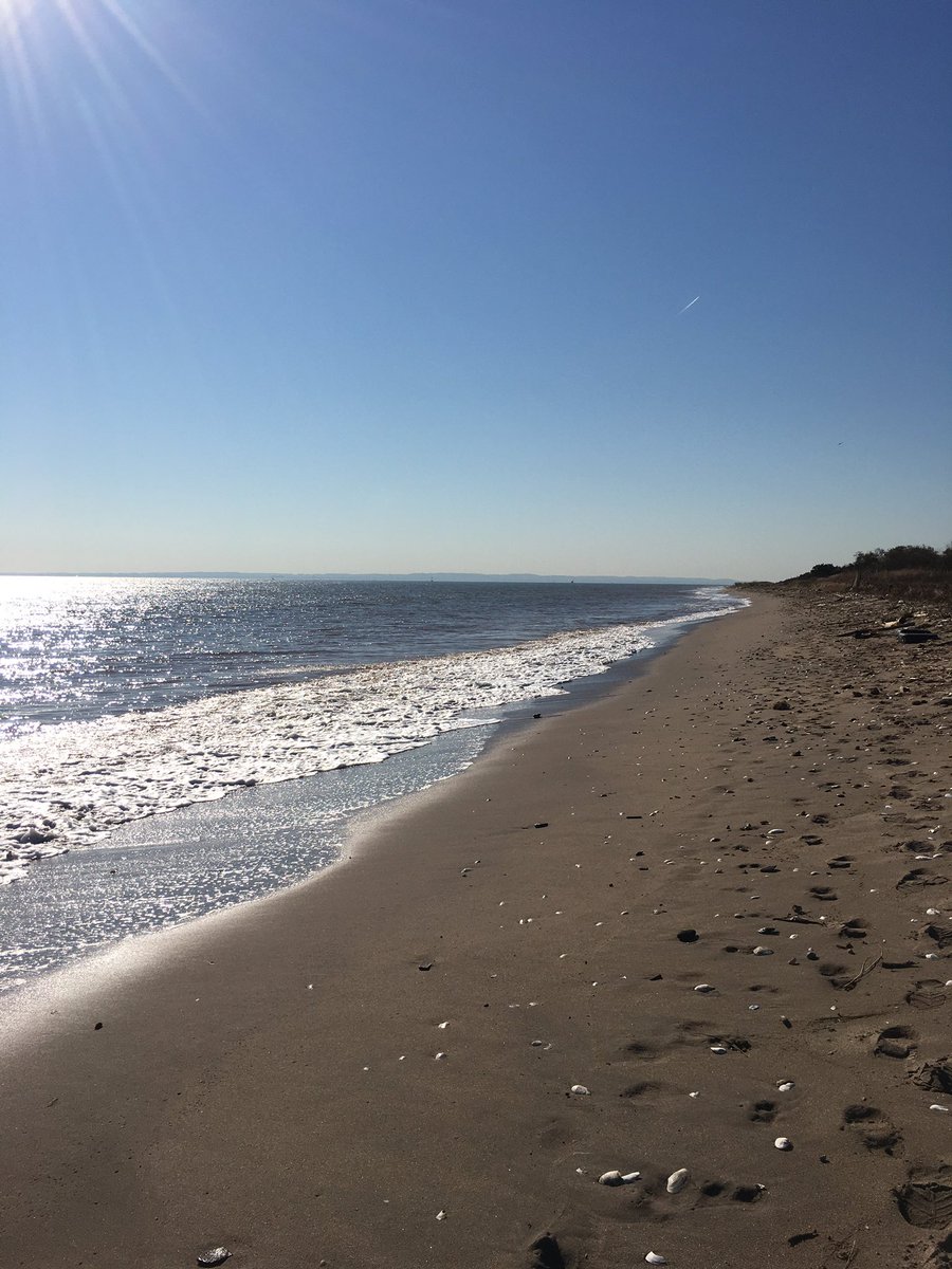 NJNJ2011's tweet image. Back home so some beach running this morning for cardio