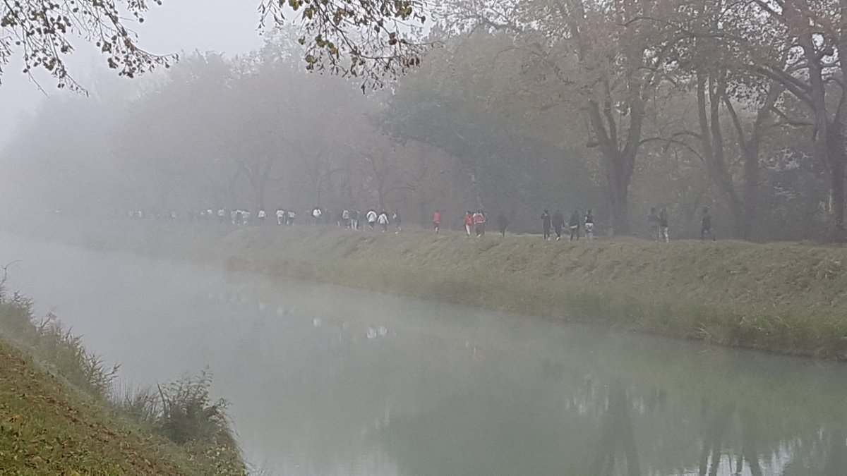 ColJjaures82's tweet photo. Mardi 9/11/21, le départ du cross du collège a été donné sur les bords du canal. Bravo à tous nos coureurs amateurs ainsi qu'à leurs encadrants pour cette belle journée sportive malgré le froid et le brouillard!🥇💪👍 @DSDEN82 @EpsToulouse https://t.co/HKvqW0nMvR
