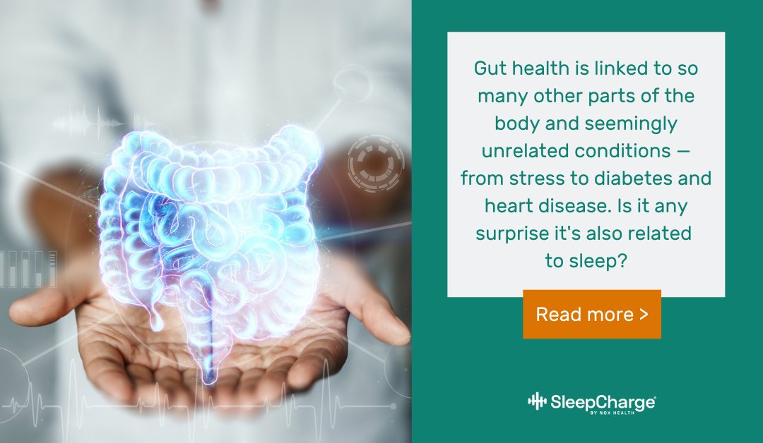 SleepCharge's tweet photo. Gut health is linked to so many other parts of the body and seemingly unrelated conditions — from stress to diabetes and heart disease. Is it any surprise it's also related to sleep? Read more: https://t.co/qYrif8bU4h

 #sleepfacts #guthealth #sleephealth #SleepCharge https://t.co/UEUtgsQiDl