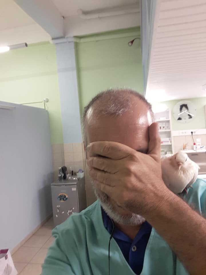 justArisC's tweet photo. Το βρηκα χτυπημένο. Το κράτησα και το έκανα καλά. Το απελευθέρωσα τρεις φορές. ΓΥΡΙΣΕ ΠΙΣΩ ΚΑΙ ΤΙΣ ΤΡΕΙΣ. Θα πεθανω και θα'ρθει να χέσει στον τάφο μου σίγουρα.... https://t.co/OngbZOI3zF