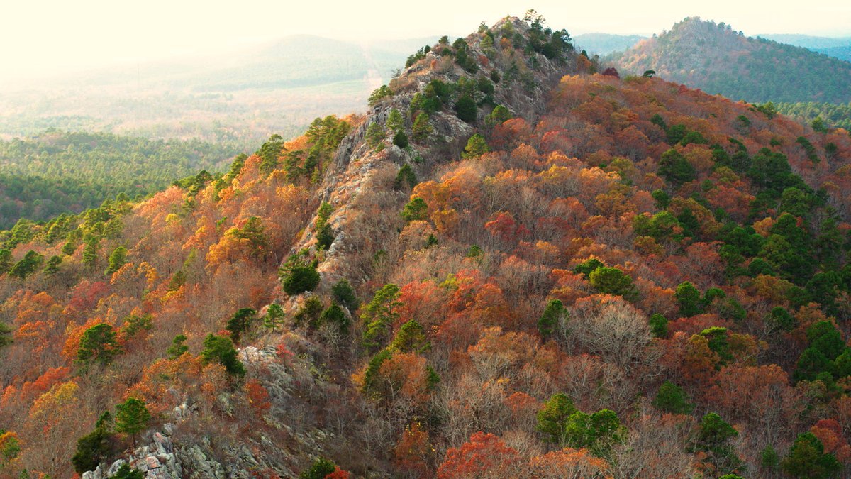 ArkansasTV_'s tweet photo. Whether it’s atop Rattlesnake Ridge Natural Area or another favorite, you just can’t beat the views at this time of year around The Natural State!
What’s your favorite fall hike? Tell us, and see the premiere of #ExploringARFromAbove Nov. 29 at 7 p.m.
https://t.co/h0UPouLpNJ https://t.co/nwz7JZy3Dm