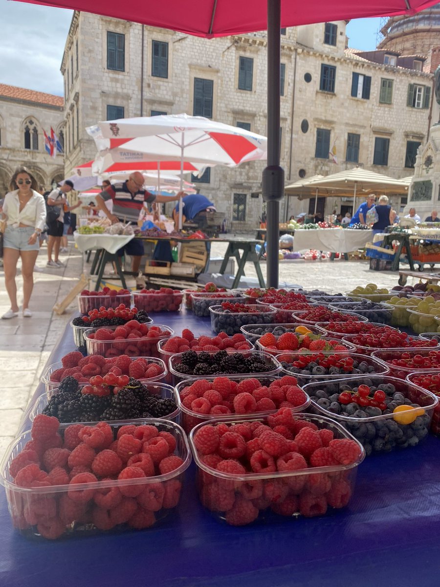 bidaiatraveler's tweet photo. Nada mejor que un paseo por el Casco Viejo mientras disfrutas de comer frutos del bosque del mercado de Dubrovnik. 🫐🍓🍒
#COMM21 #comida #paseo #buenmomento #alegría https://t.co/cNgkQQq1ZM