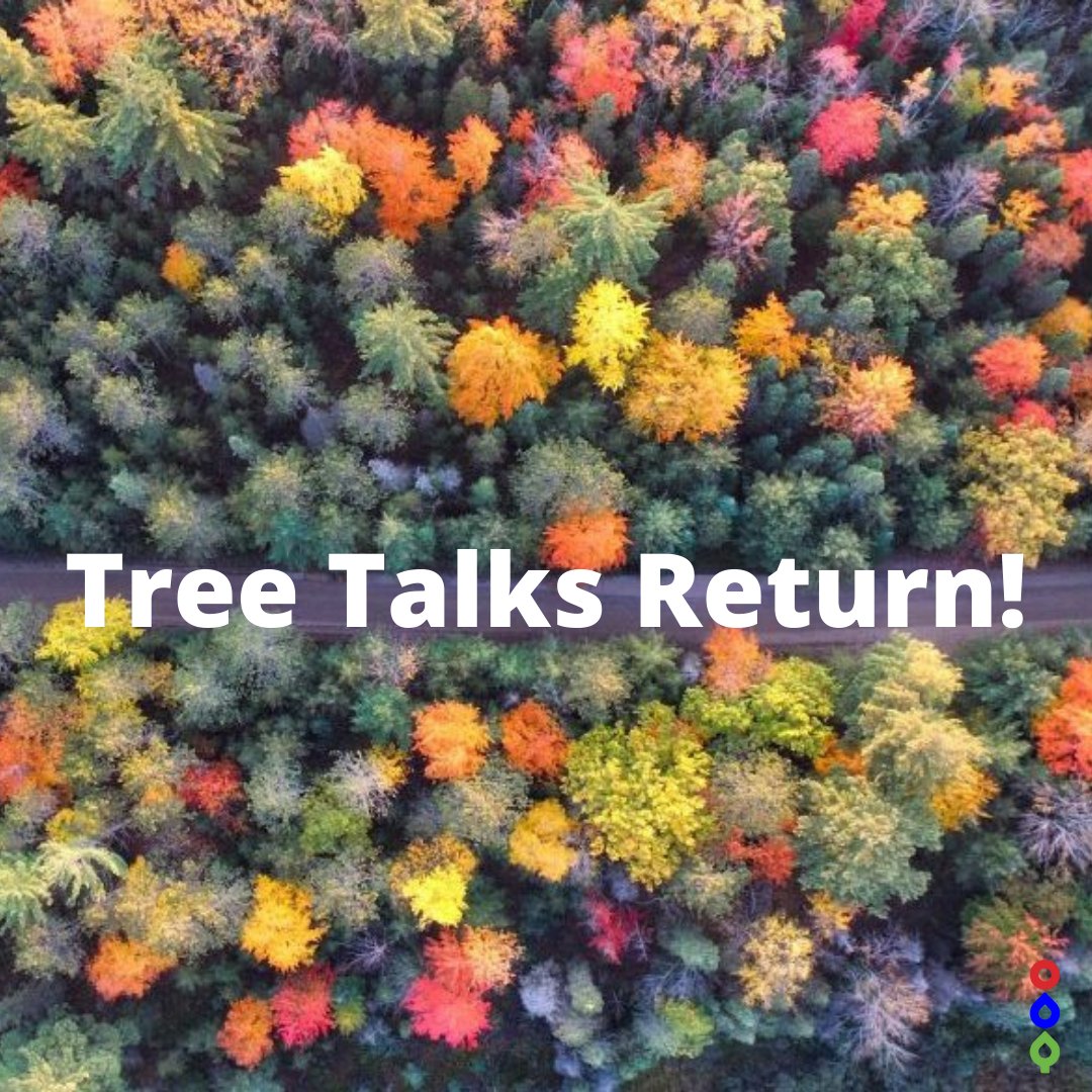 Neighbourwoods's tweet photo. Quick reminder: Our Tree Talk on the Ignatius Old Growth Forest Project is happening TOMORROW at 7:30pm at the Elora Centre for the Arts. 

If you're interested in joining, please RSVP to carole.m.pines@gmail.com

More info: https://t.co/mgdMxGlimY https://t.co/OvcrKB9lYc
