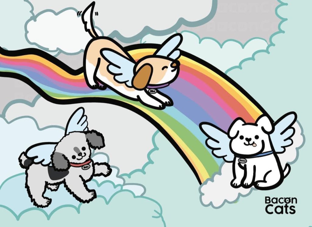 Dilo con perritos on Twitter: Dilo con perritos on Twitter: