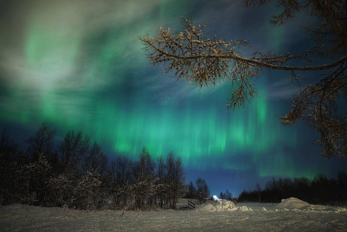 Mia Stålnacke tweet media