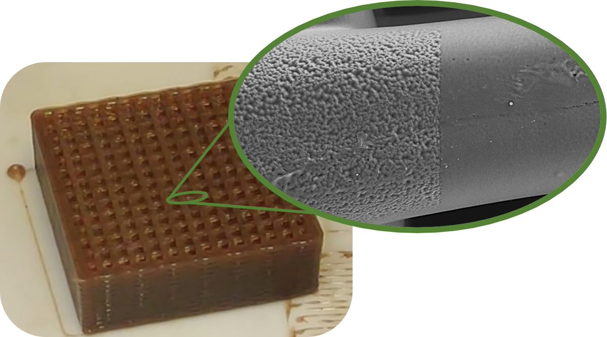 YRinM2024 tweet media