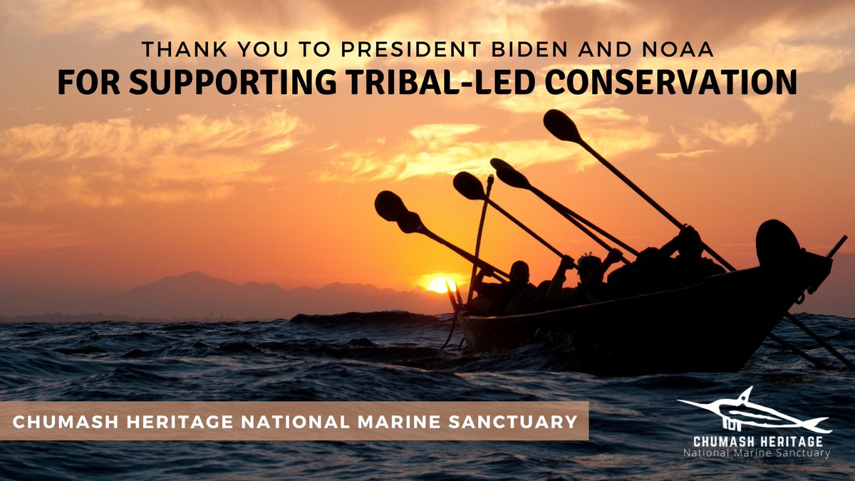 Chumash Heritage National Marine Sanctuary (@chnmsanctuary) on Twitter photo CELEBRATE: <a href="/POTUS/">President Donald J. Trump</a> and <a href="/NOAA/">NOAA</a> have announced advancing the nomination of #ChumashSanctuary. This is a major step toward elevating Indigenous perspectives and cultural values in #ocean conservation #chumash @chumashsanctuary
See the press release:
chumashsanctuary.org/2021/11/09/nor… CELEBRATE: <a href="/POTUS/">President Donald J. Trump</a> and <a href="/NOAA/">NOAA</a> have announced advancing the nomination of #ChumashSanctuary. This is a major step toward elevating Indigenous perspectives and cultural values in #ocean conservation #chumash @chumashsanctuary
See the press release:
chumashsanctuary.org/2021/11/09/nor…