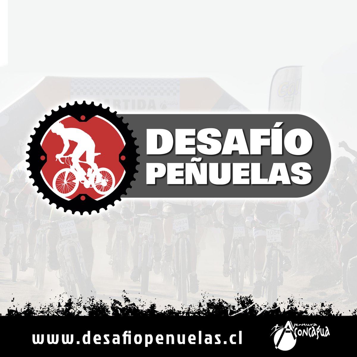 Aventura Aconcagua tweet media