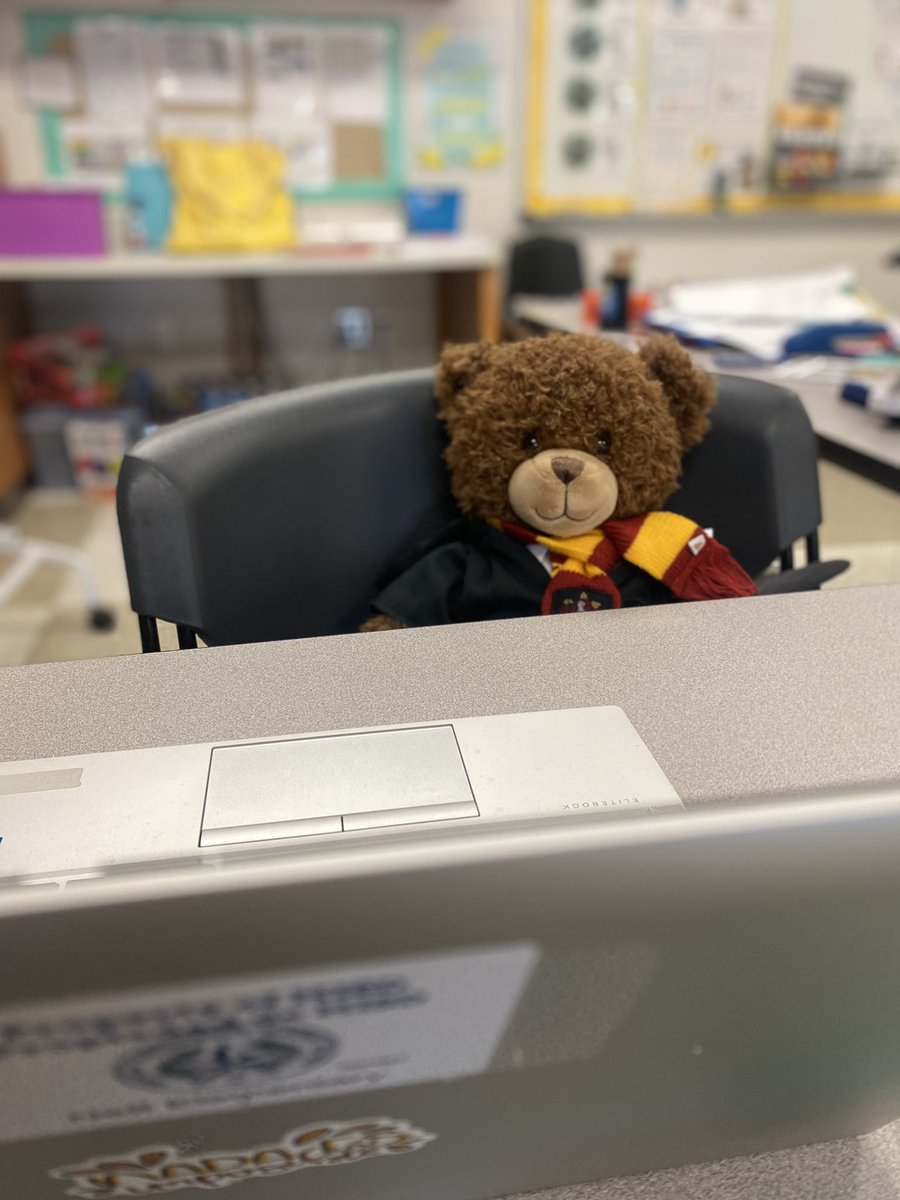 mspalmaneff's tweet photo. Spotted:  Mr.Potter watching over room 107 while we're at recess! https://t.co/CU7FM2que4