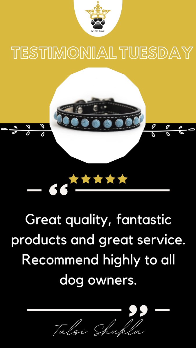 lepetluxe's tweet photo. Look what our customers say about us👇
Get Great Pet Products For Your Fur Baby
BUY From https://t.co/CUkiH4SbWR
% of $ sales will support pet rescue.
#dogs #dogsoftwitter #likeforfollow #tuesdayvibe #tuesdaymotivations #TuesdayFeeling #Tuesday #followforfollow #RTforfollow https://t.co/Y1ZajeLcEB