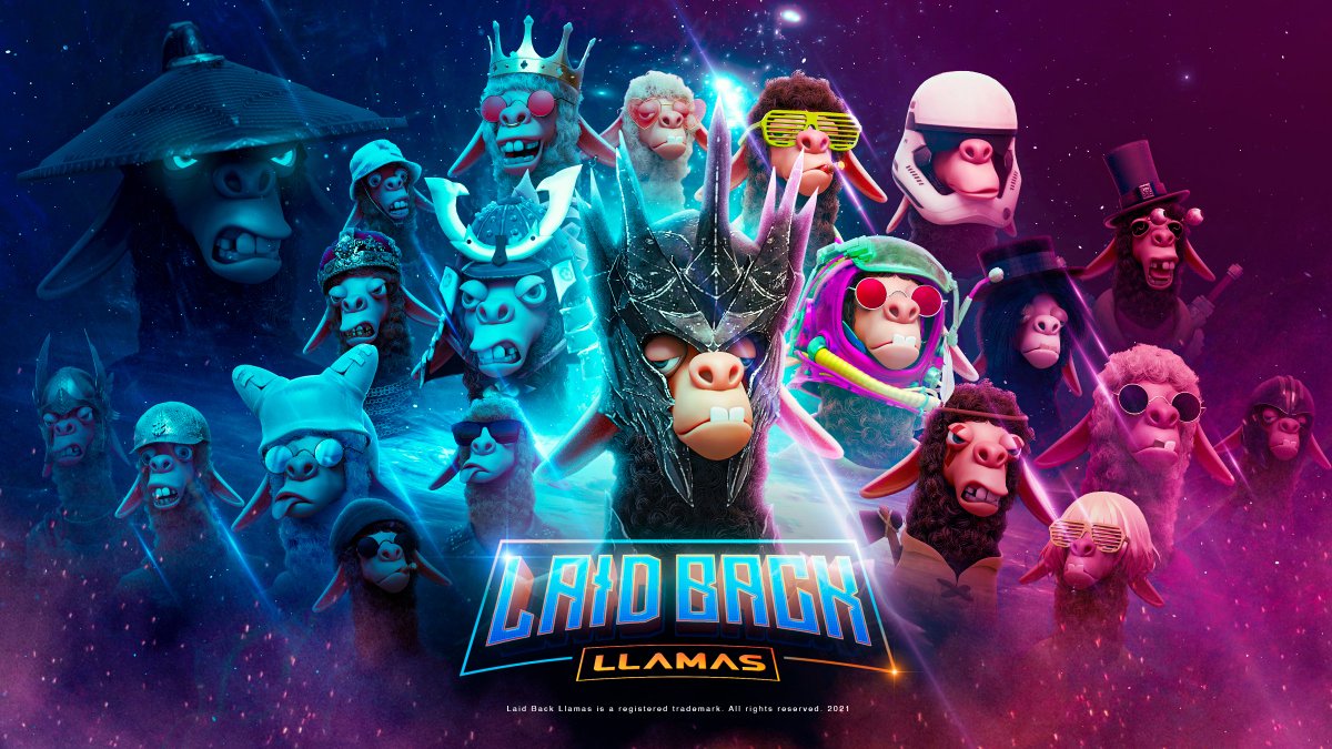 LaidBackLlamas's tweet photo. 🚨 The #LBL Whitelist is Now Open! 🚨

The countdown to the 7,000🦙Laid Back Llamas is officially underway.

Get Whitelisted ➡️ https://t.co/1BQVGGH8dT https://t.co/5H4179ZUly