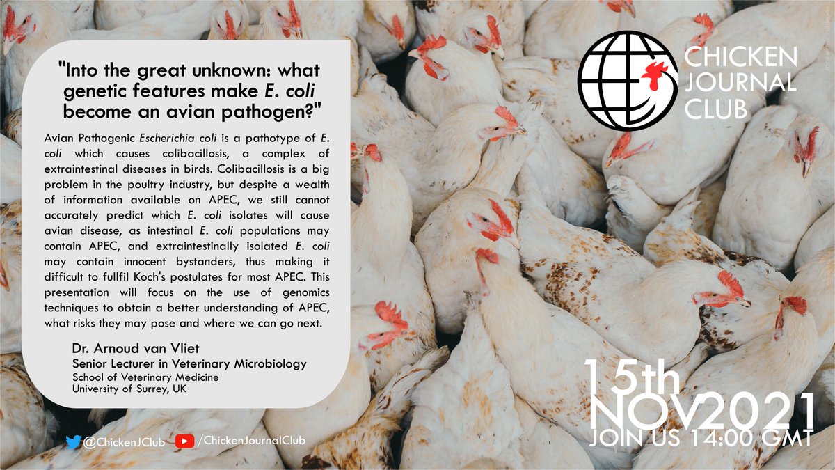 🐓 Join us on Monday for the next talk in our seminar series from Dr Arnoud van Vliet (@dutchscientist).

“Into the great unknown: what genetic features make E. Coli become an avian pathogen?” 🧫

📆 Monday 15th November
⏰ 2pm (GMT)

#Ecoli #ChickenResearch #AcademicTwitter