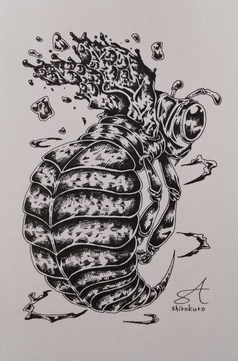 イラスト(ペン画 最近の蜂シリーズ。 #ペン画 #蜂 #ボールペン画 #絵師さんと