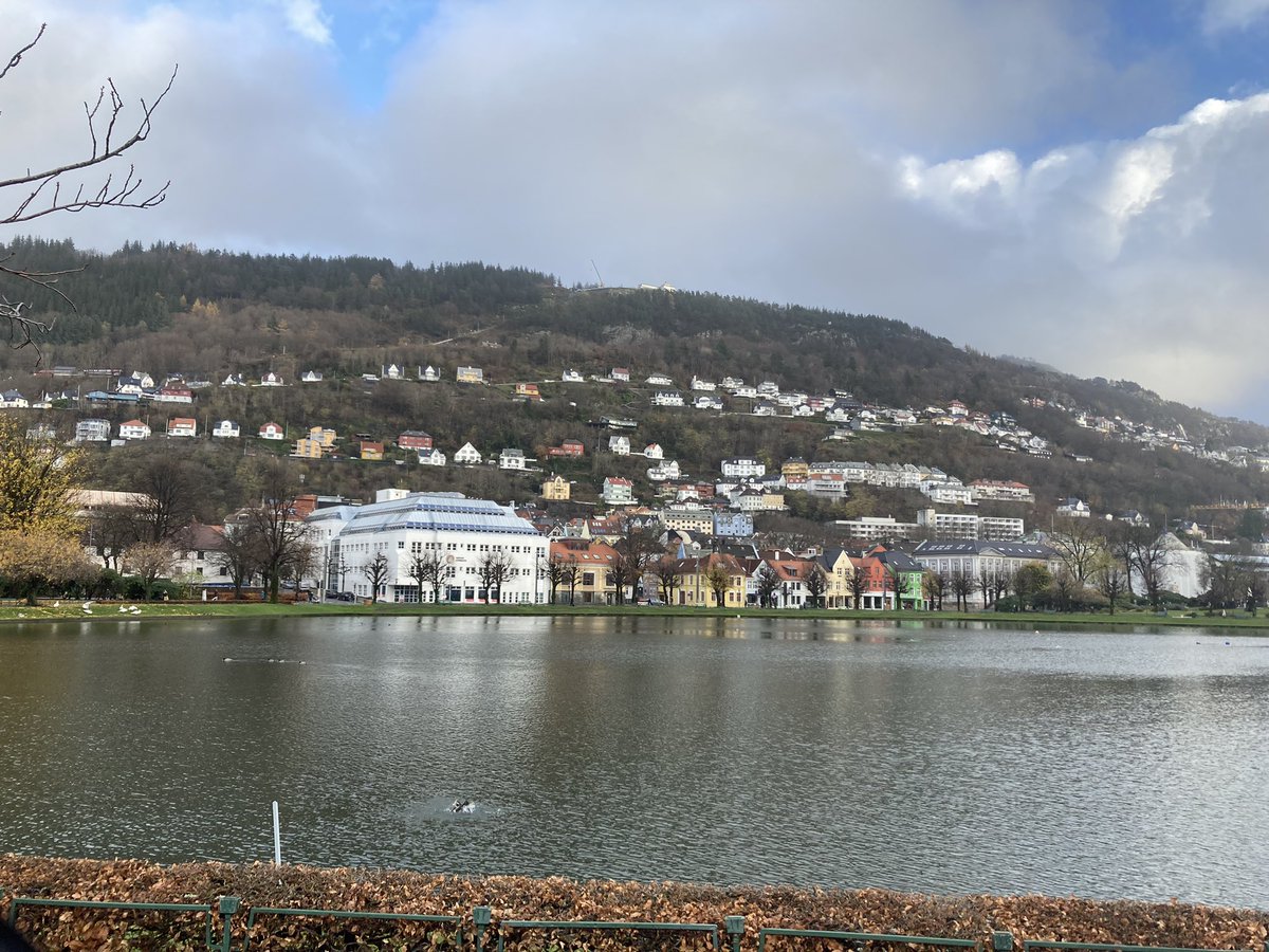 econrachel's tweet photo. Excited to be here with @acdonegan #NAFOL21 Western Norway Uni to with Prof Kari Smith to present our doctoral research papers on behalf of @SchoolofEdUCD @ucddublin @TeachingCouncil @JudithHarford @gmsainz @DanielCapis @DeclanFahie @Deemcgillicuddy https://t.co/kDUYhTpqwO