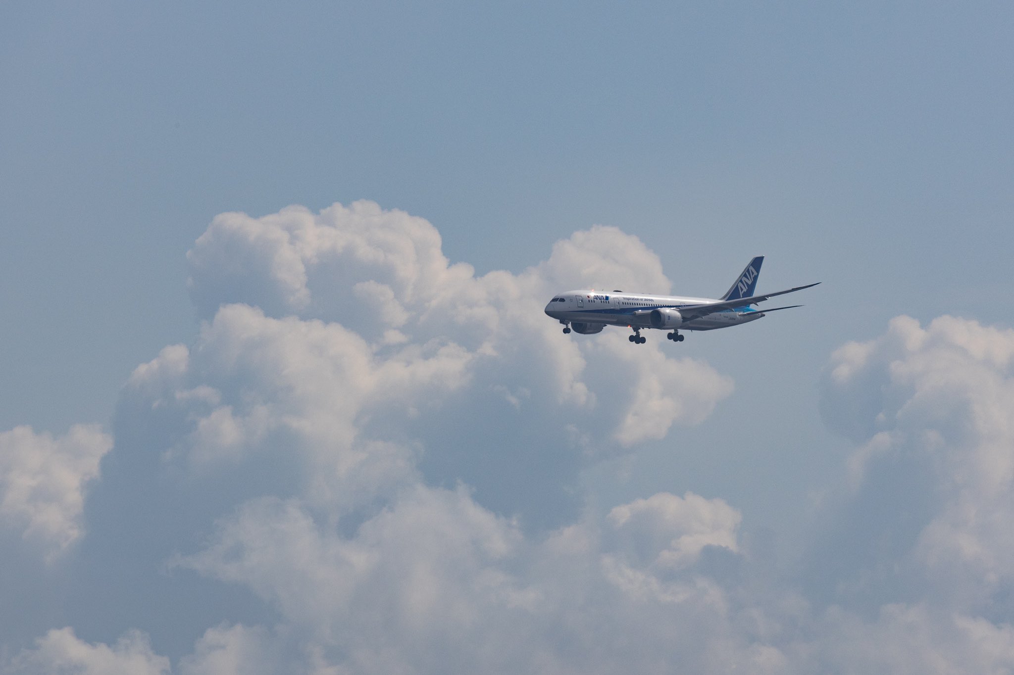 78airline 飛行機 野鳥 旅 雲と飛行機と 雲 飛行機 航空機 写真 カメラ Fda Ana 小型機 雲 空 T Co Urfxwmtobp Twitter