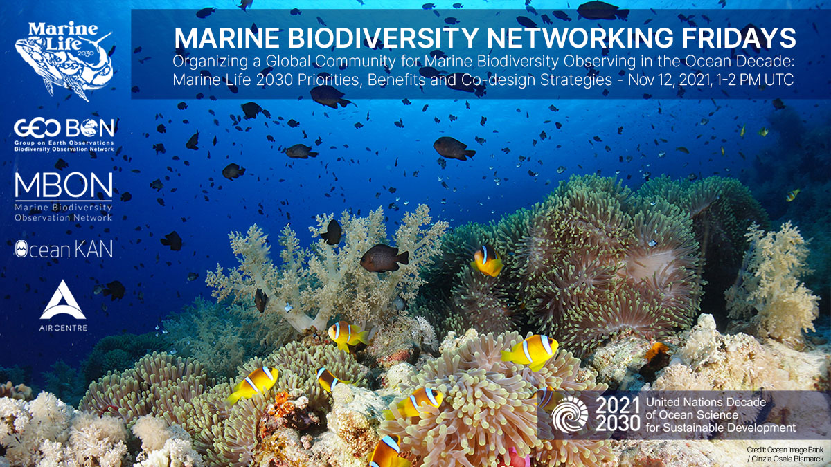 AIRCentre_org's tweet image. This Friday, 12th November, we have the very first #Marine #Biodiversity #netfridays, co-organised with @MBON (Marine Biodiversity Observation Network)!
Our speakers will be Joana Soares, Frank Muller-Karger, and Linwood Pendleton👉bit.ly/3C1rb3v
#marinelife #oceandecade