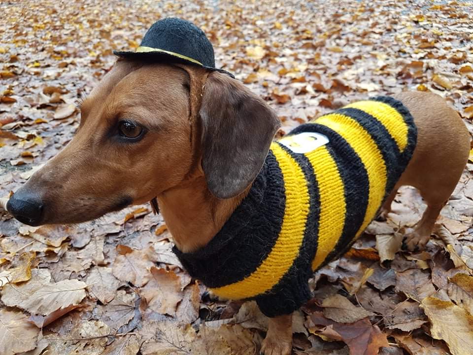 Frank Crowder tweet media