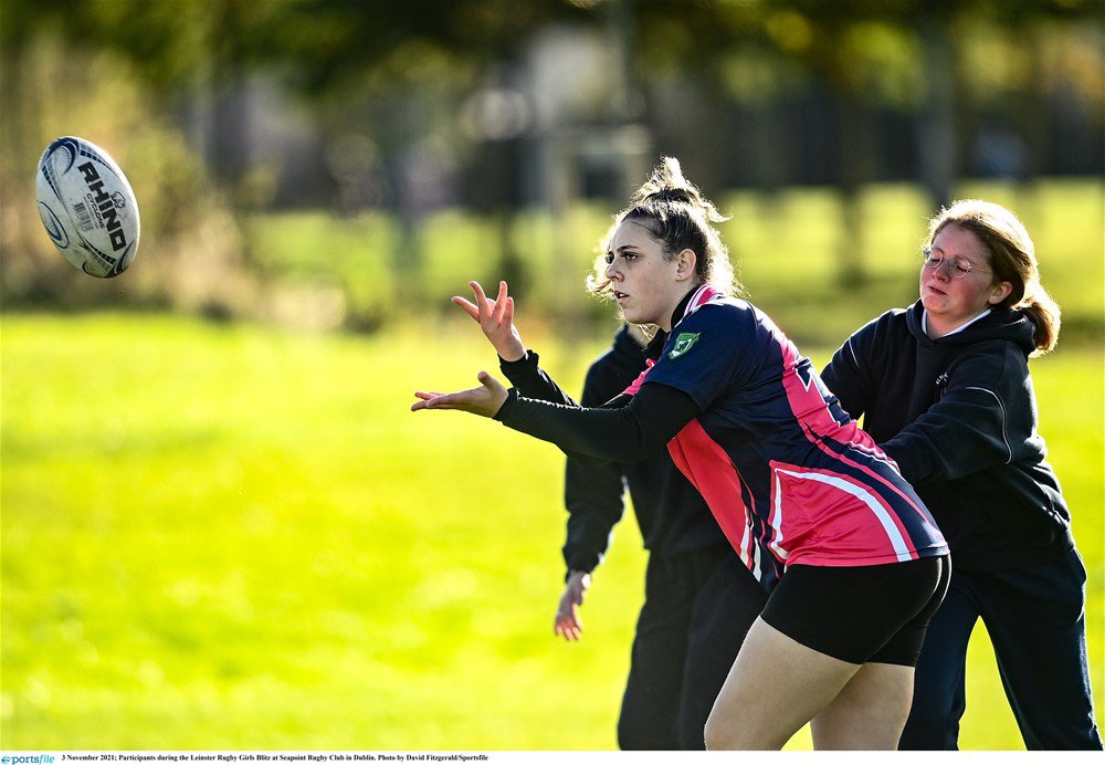 St.Mary's Holy Faith tweet media