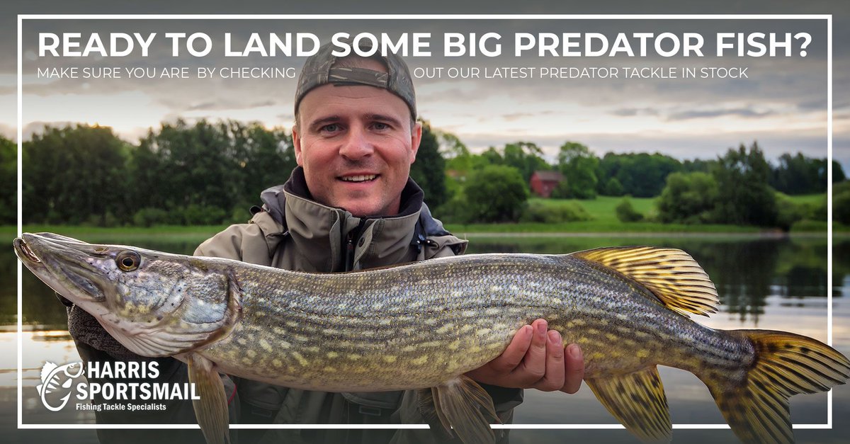 к чему снится щука женщине. к чему приснилась ловить щука. средняя щука. щука большая. расцветка щуки.