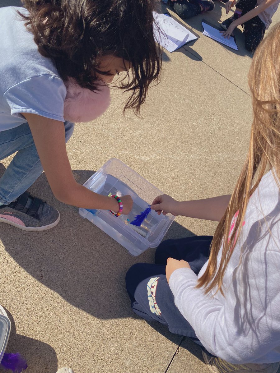MmeHeckman's tweet photo. Yesterday was a BEAUTIFUL morning for outdoor learning! Hard to believe it’s November but we will take the sunshine any day!☀️ Flotte ou coule? Perméable ou imperméable? #science https://t.co/KjjiVnlx09