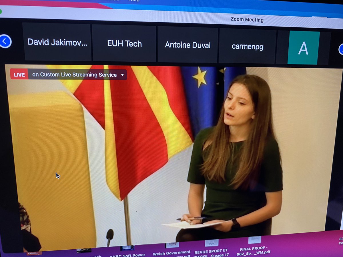 Fantastic event today from #Skopje🇲🇰 &amp; in conjunction with <a href="/TAKTngo/">TAKT</a> &amp; Team 🇪🇺. An honour to share the floor with so many great people bringing diverse insights on all forms of #sportsdiplomacy - Grassroots, local, EU, regional and international - stay safe, Ви благодарам-thanks👍🏻