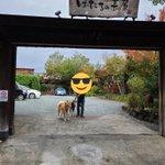 ツイートに含まれる画像