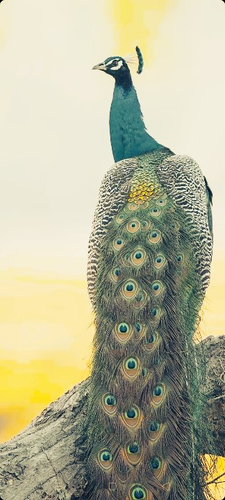 ChundaEvent's tweet image. 