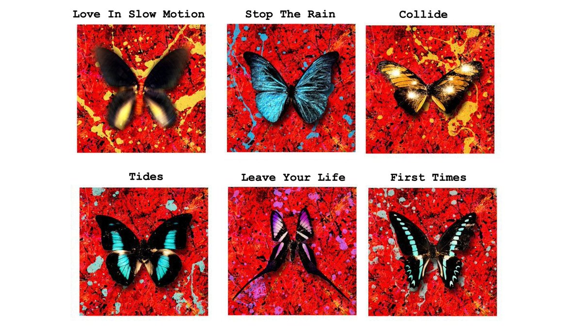 annie_aine's tweet photo. Por si a alguien le interesa saber a qué canción pertenece cada una de las mariposas del disco Equals (=) de Ed Sheeran 💙 #EdSheeran #EqualsAlbum https://t.co/XV2E3f4zOy