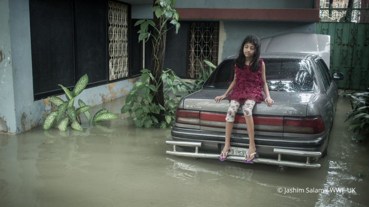 WWFitalia's tweet photo. Solo nel 2020, 30 milioni di persone hanno dovuto lasciare la loro casa a causa di eventi legati al #clima
La #CrisiClimatica non è un problema #futuro ma è qui, ORA.
Dalla #COP26 servono risposte e risultati.
I leader devono agire, il #mondo li sta guardando
#GenerAzioneClima https://t.co/4XDkC6ZVCE