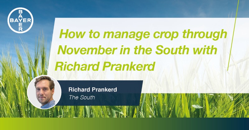 Bayer4CropsUK's tweet photo. Weed, pest and disease control are all on @RPrankerd's agronomy radar this month...

...are they on yours? 🤔