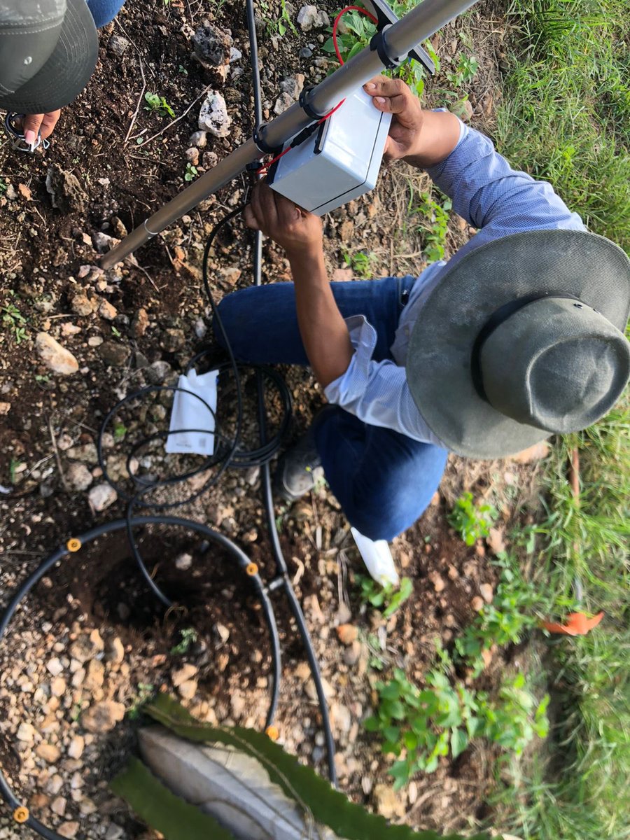 alvarado10ndj's tweet photo. Riego por goteo en pitahayas con emisores @NaanDanJain @JainIrrigation y monitoreo de humedad con #rootsense https://t.co/GdZiTJsOUF