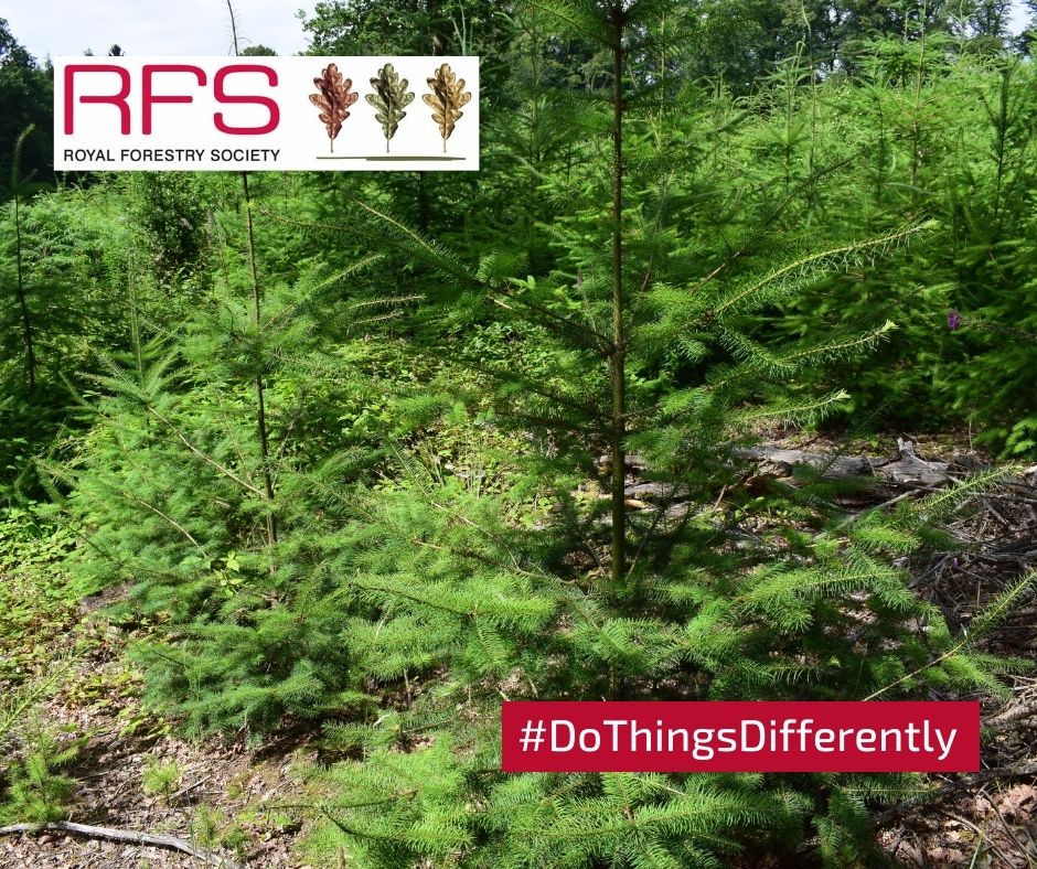 royal_forestry's tweet photo. Follow the science and make a change in what tree species you choose and how you plant your woods. Our @Trainhugger grants are helping build resilient landscapes https://t.co/9epAei9oR5 #DoThingsDifferently #climateemergency #treespecies #COP26 #treegrants #woodlandgrants https://t.co/Ye4ocr9sPf