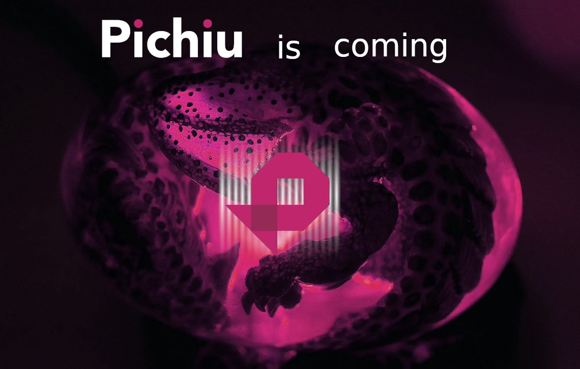 The crypto industry will only know native $PCHU