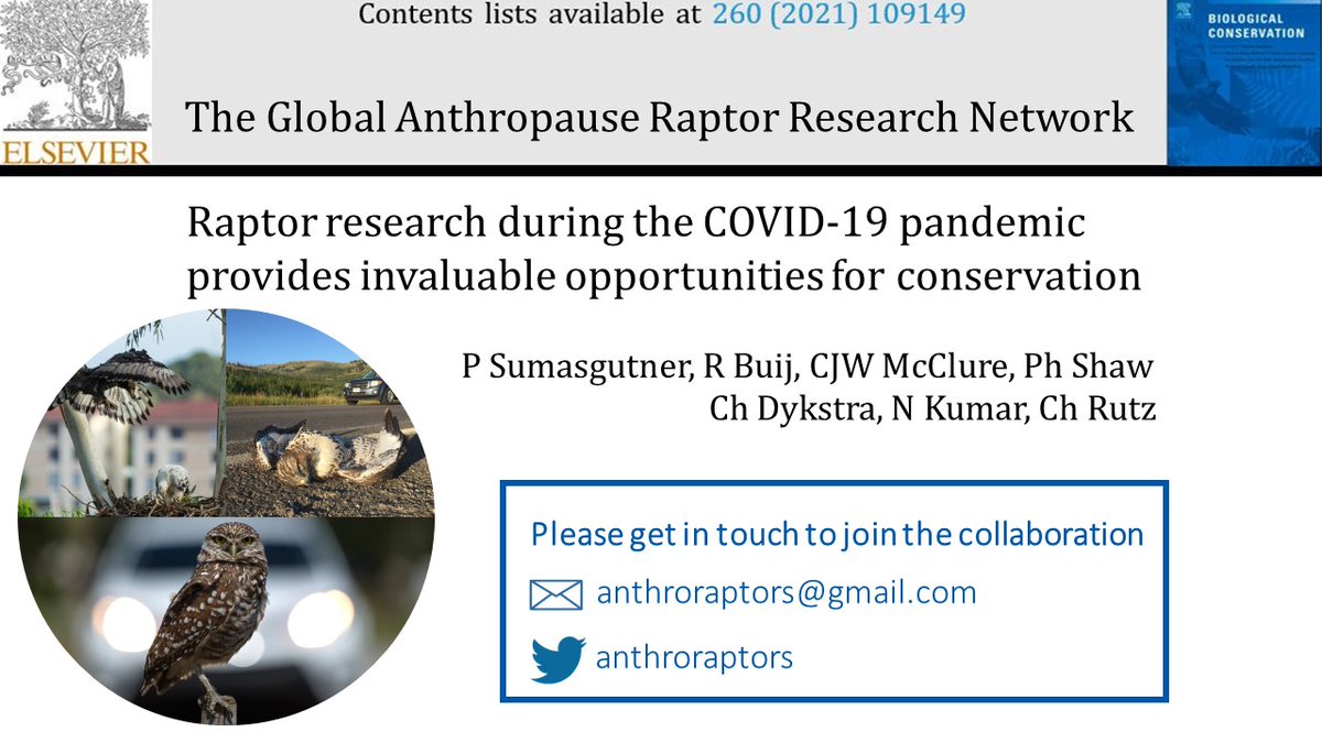6. #BOUasm21 #BREAK3 Global-scale comparative analysis with before-after-control-impact (#BACI) study design across species & regions #GARRN will inspire innovative #management strategies for threatened raptors. We welcome collective expertise of #raptor researchers & enthusiasts