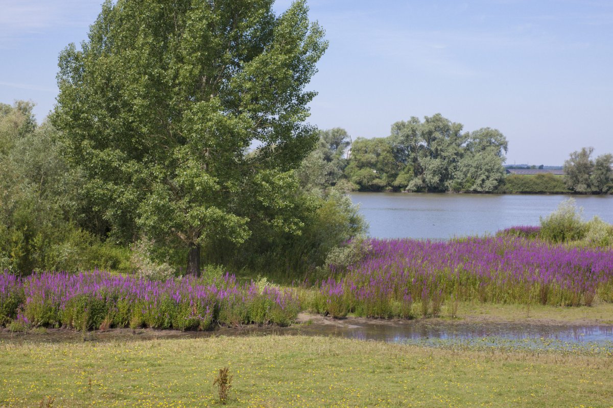 NDFF-organisatie per 1 november 2021 over naar BIJ12. Lees hier meer: 👉
bit.ly/3wuSL7Z <a href="/ndff/">NDFF</a>