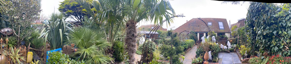driftwoodbysea's tweet photo. 4 panorama shots taken in the garden this morning. https://t.co/jaAgFAiIcy #sussex #gardening https://t.co/wh0T60jSh0