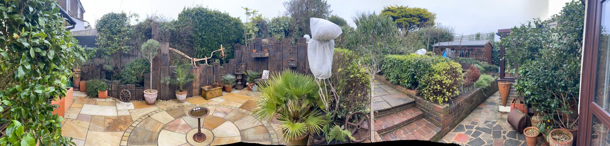 driftwoodbysea's tweet photo. 4 panorama shots taken in the garden this morning. https://t.co/jaAgFAiIcy #sussex #gardening https://t.co/wh0T60jSh0