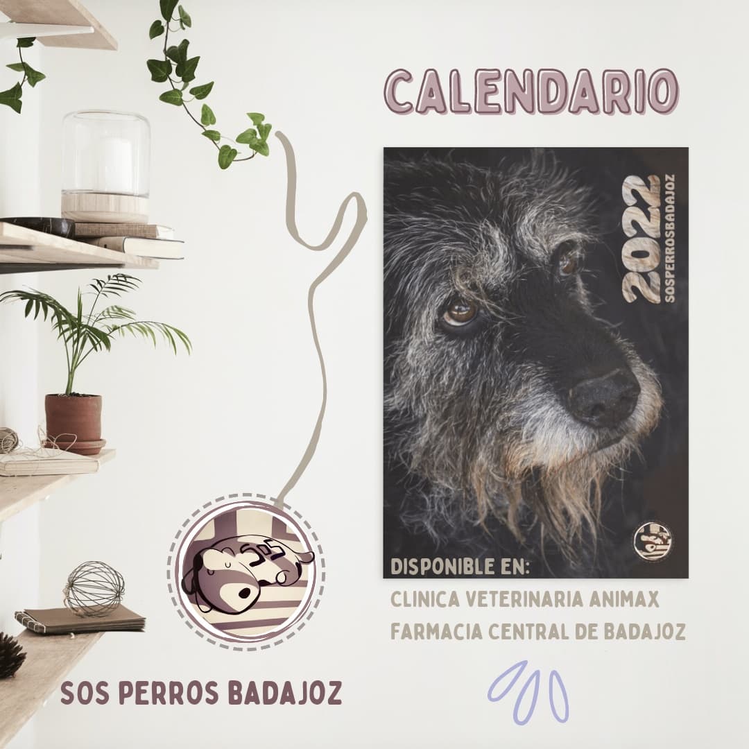 Ya tenéis disponible nuestro #Calendario solidario 2022.
instagram.com/p/CWDhVugKuoa/…