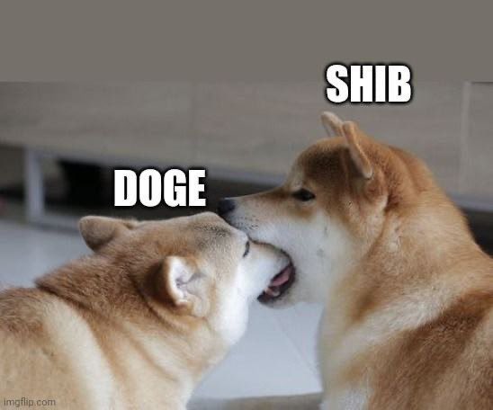 i_iosdeveloper's tweet image. Exactly what is happening now.. @ShibInform @dogecoin