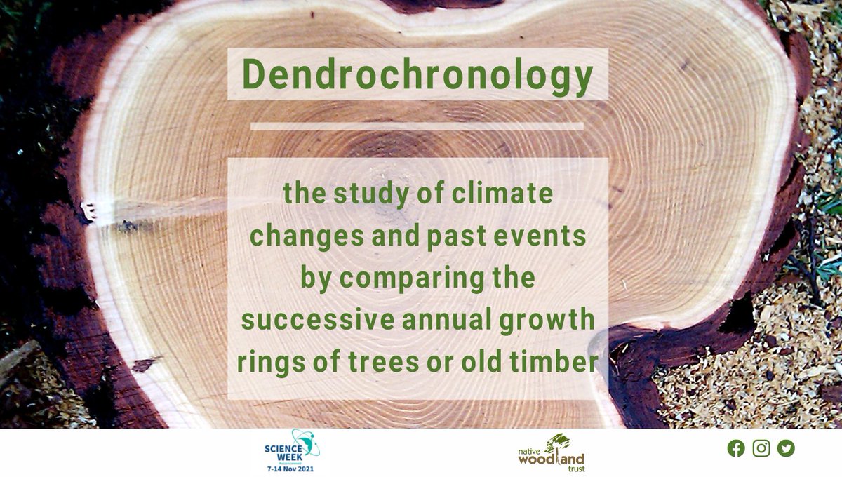 NativeWoodTrust's tweet photo. What do we learn from the study of tree rings? Not only can it age an individual tree but it can also help date settlements in archaeology. In the context of studying or predicting #climatechange, it can be used to understand the history of local climatic conditions #ScienceWeek https://t.co/84O8HSRsUE