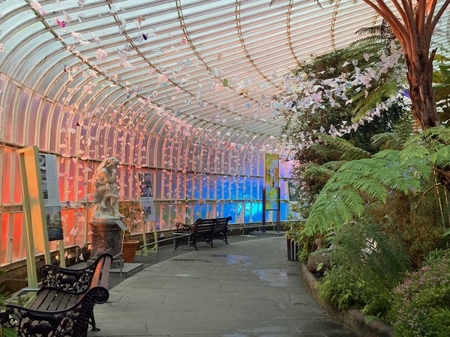 Moths to a Flame shimmer in the Kibble Palace at @GlasgowBotanic with the lights from #GlasGLOW outside
You still have 3 days to visit our Award winning art installation - open each day 12-4pm
#mothstoaflame #climateaction #glasgow #cop26 #kibblepalace #onestepgreener #art