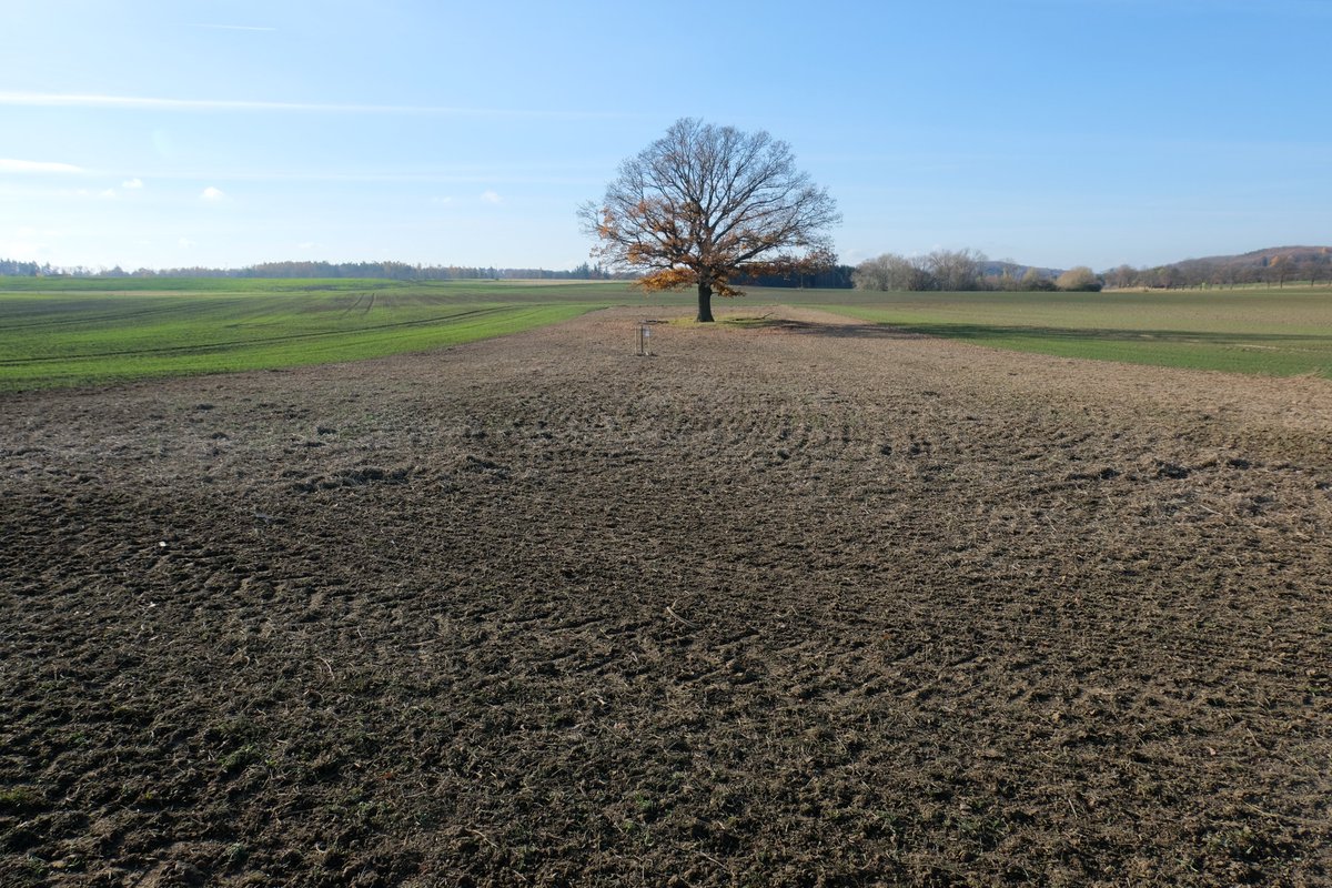 David Ježek 🚜 tweet media