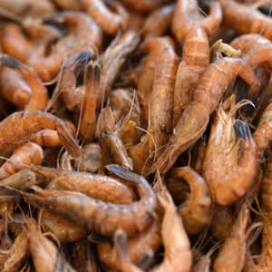 twittozairois's tweet photo. Voilà mon petit business, je vend et livre partout à Kinshasa des poissons frais de Muanda (capitaine, sole, crevette, anguille, crabe, perche, tilapia, etc...) 
On dit que Twitter est magique, si ça peut augmenter ma clientèle 🤞🏾🙌🏾 #tofulana
@SORAZIZ
@Sharufa_ @leParrainRDC https://t.co/zzRgLA1uAZ